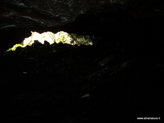 conco di Liricio-24-03-2013 10-26-05
